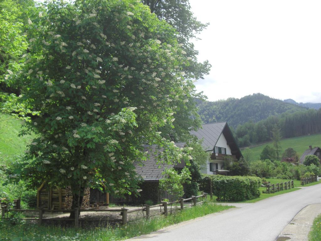 Ferienwohnung Lange Goestling an der Ybbs Exterior photo