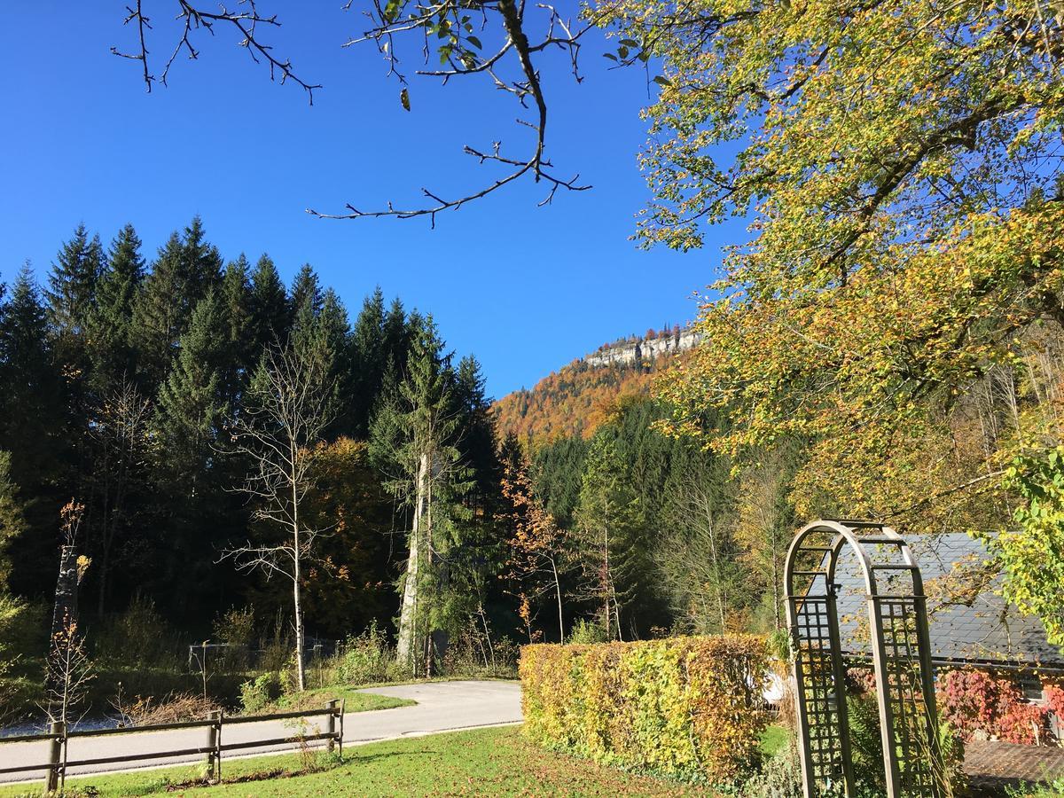 Ferienwohnung Lange Goestling an der Ybbs Exterior photo
